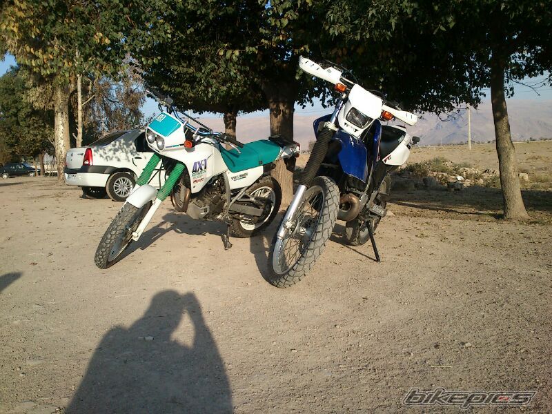 Bike Photo 2521955