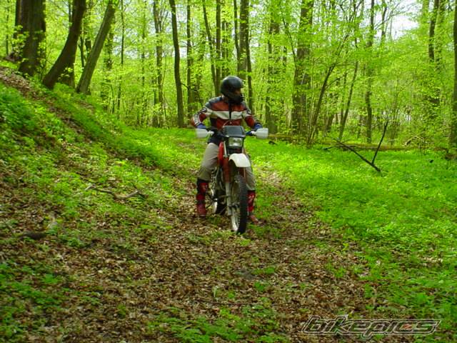 Bike Photo 25220