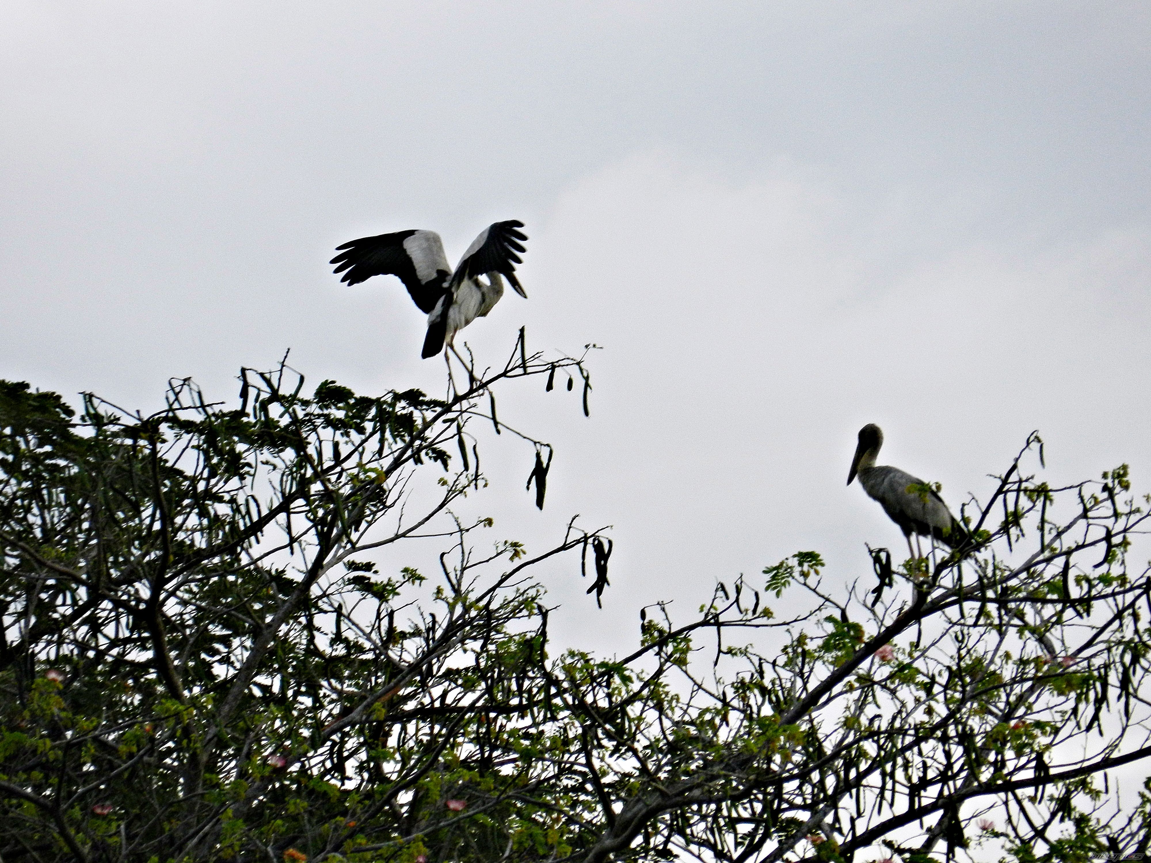 Photo 2522050