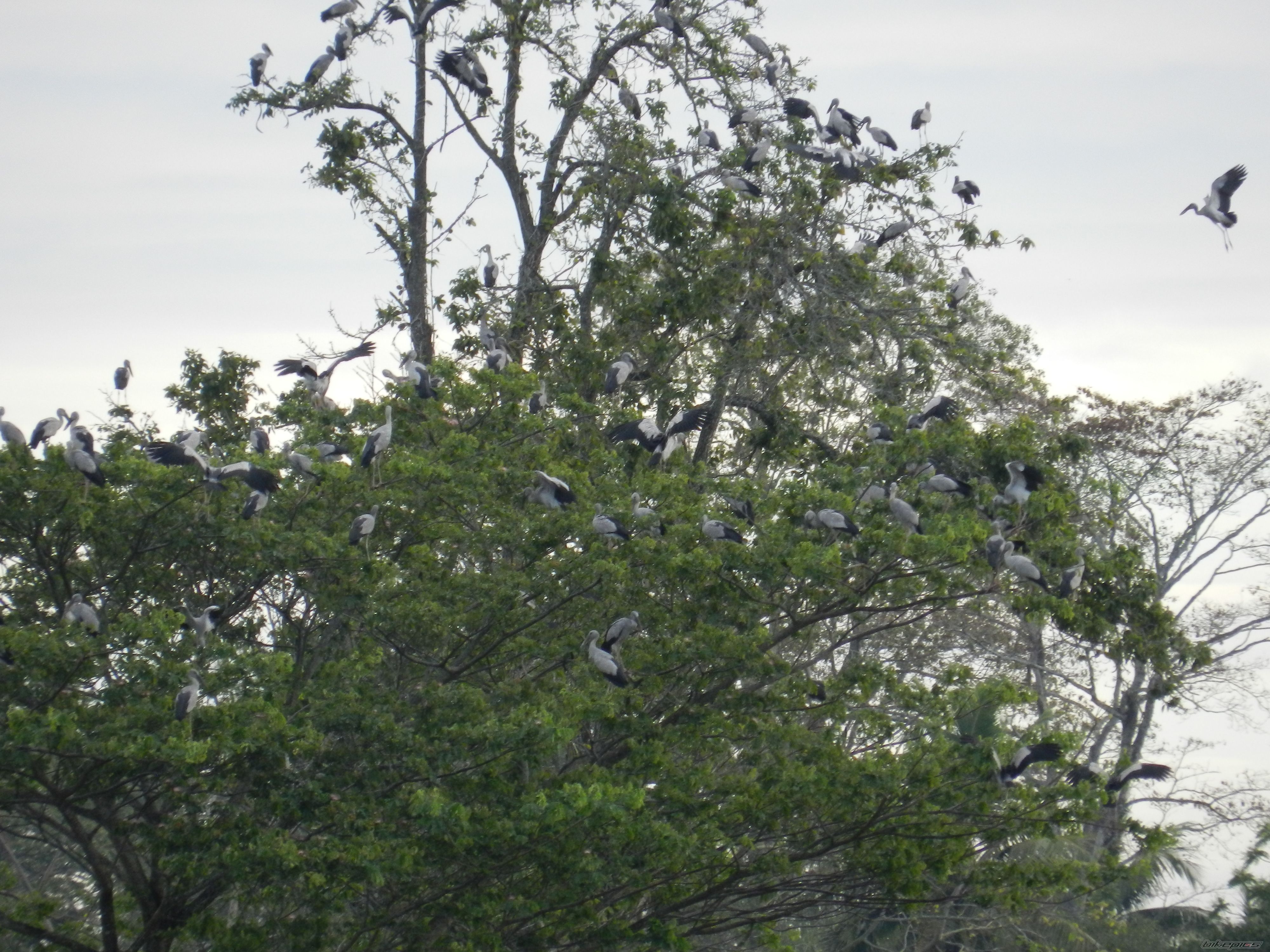 Photo 2522052
