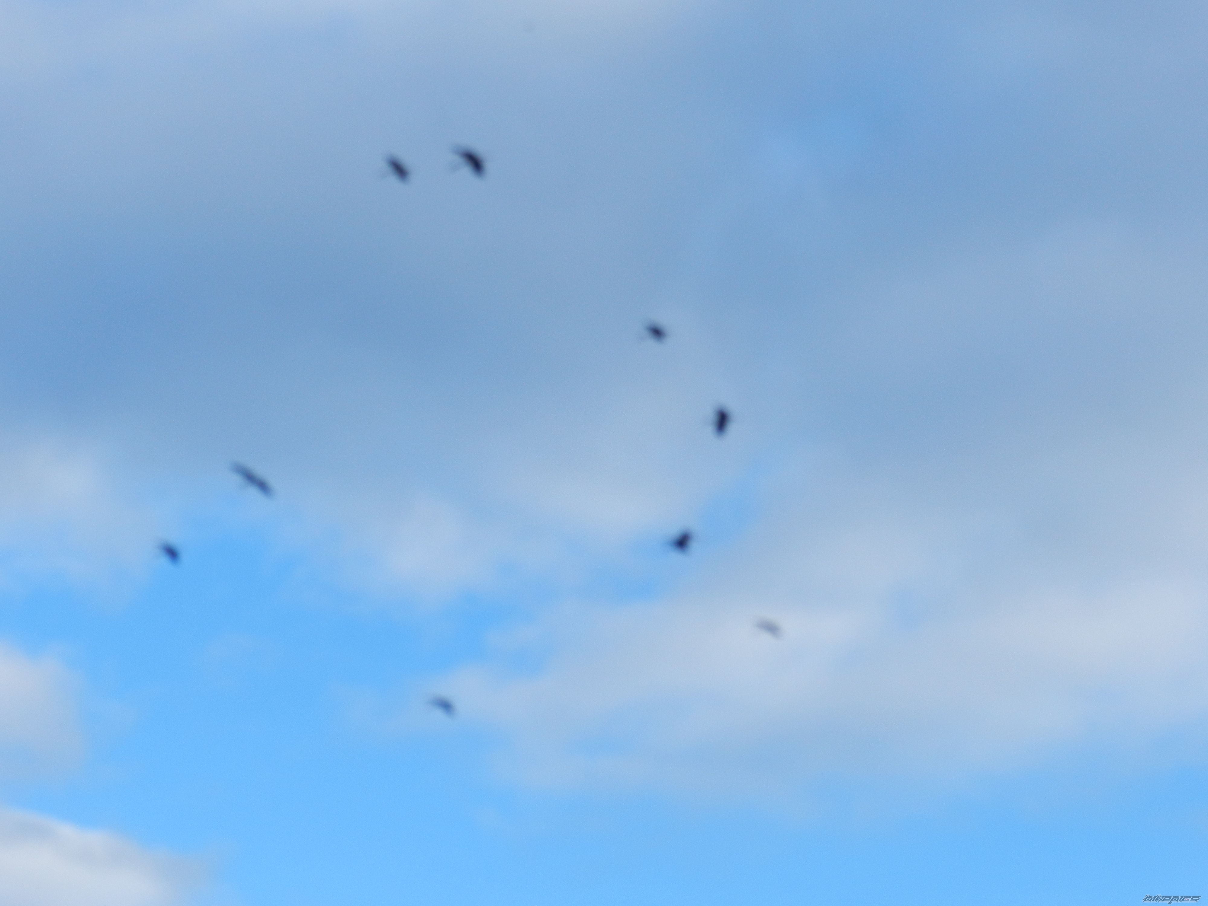 Photo 2522056