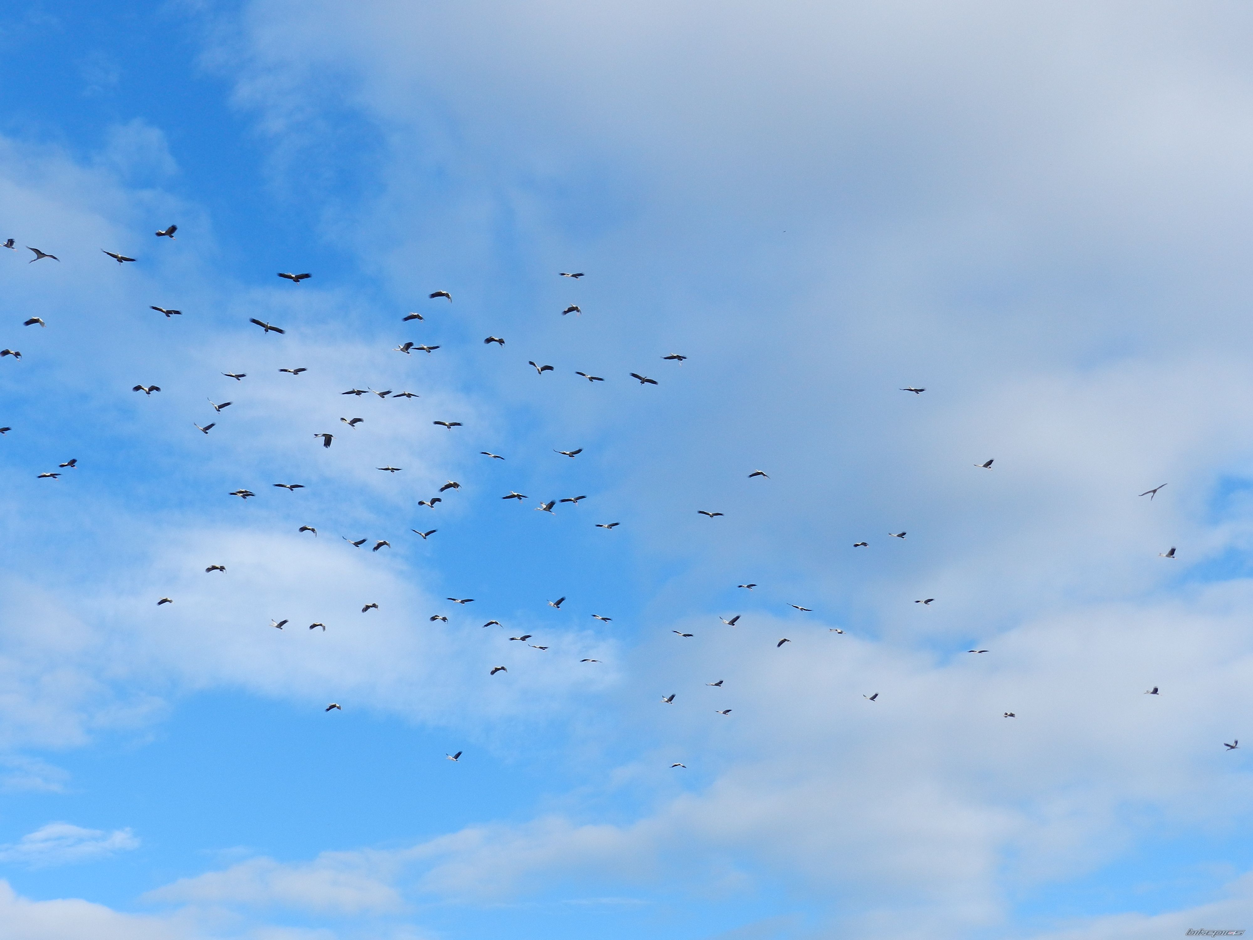 Photo 2522057