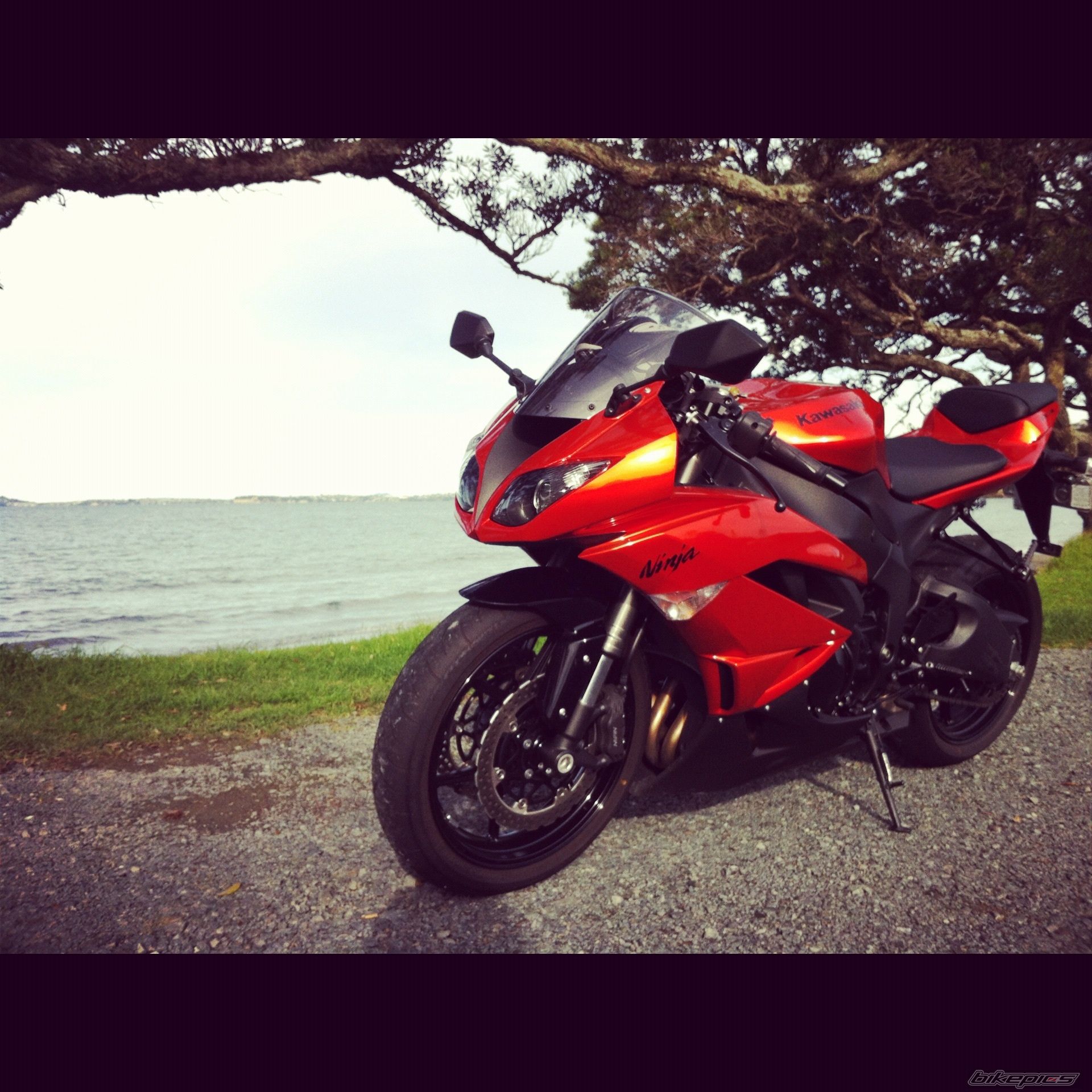 Photo 2522072