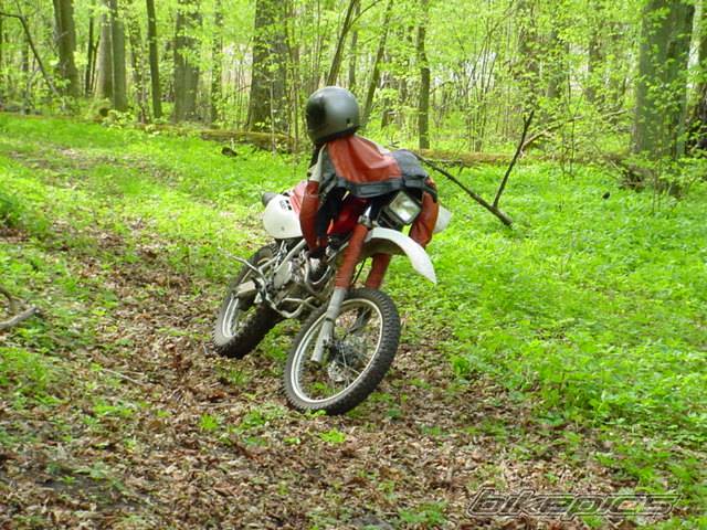 Photo 25223