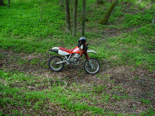 Photo 25224