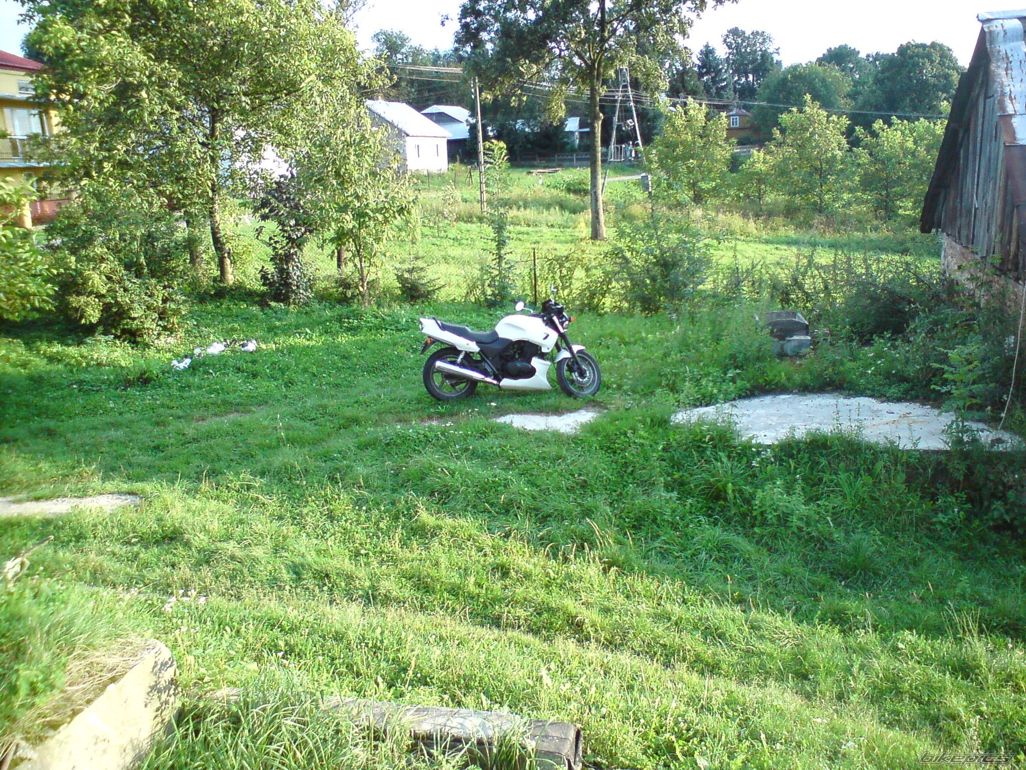 Photo 2522517