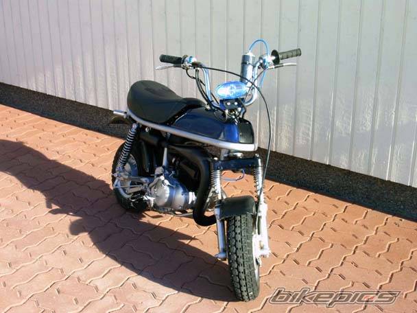 Photo 252269