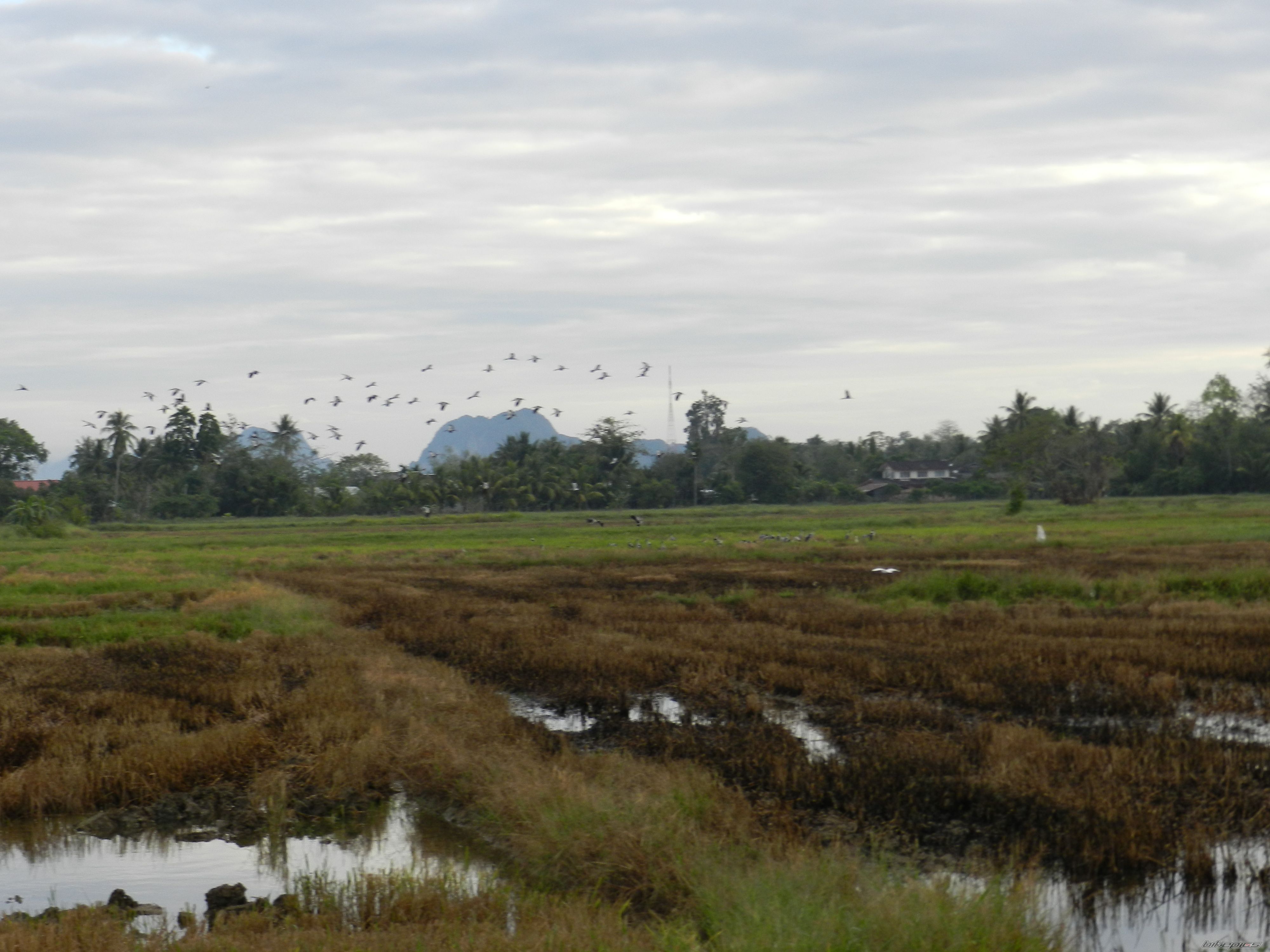 Photo 2522713