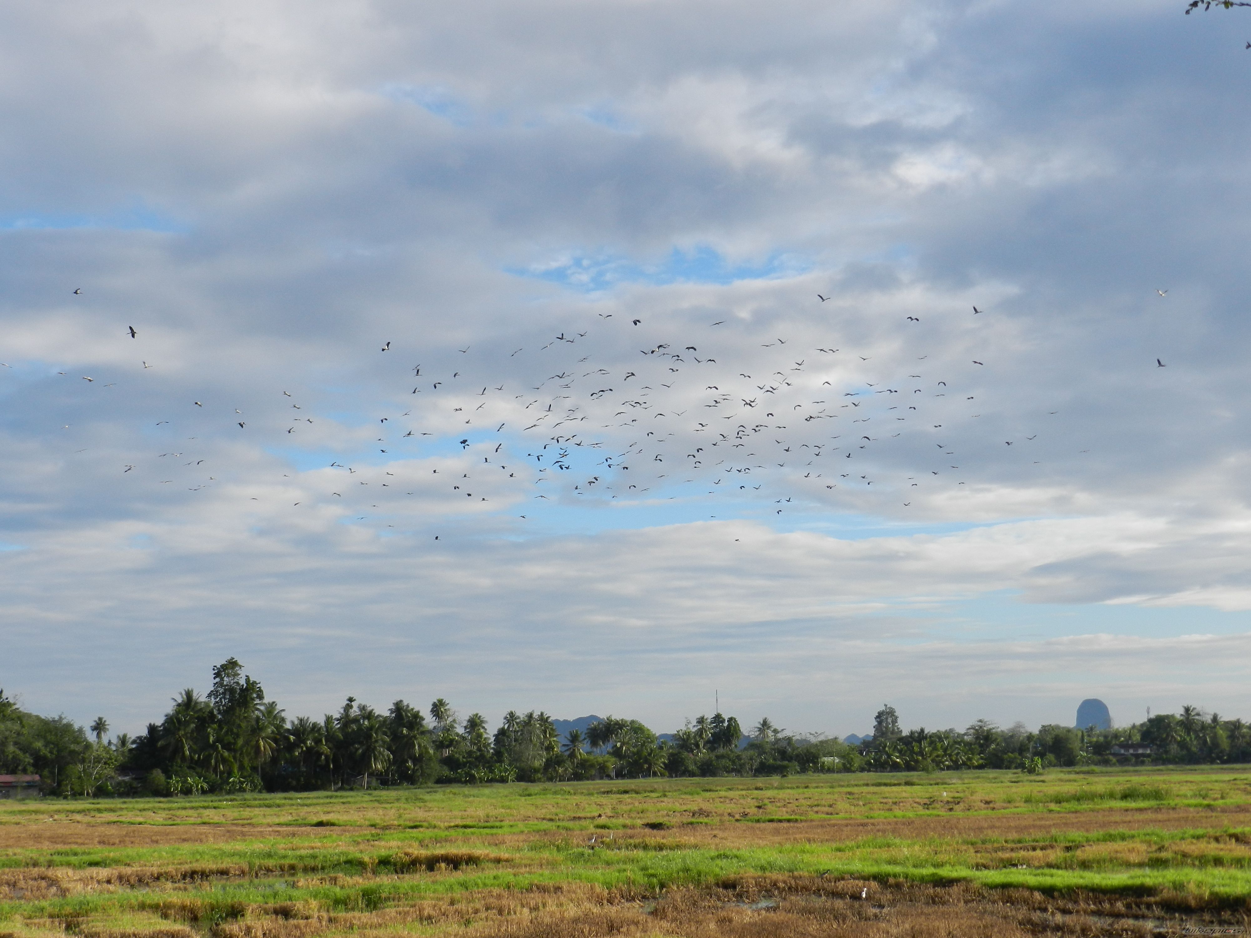 Photo 2522735