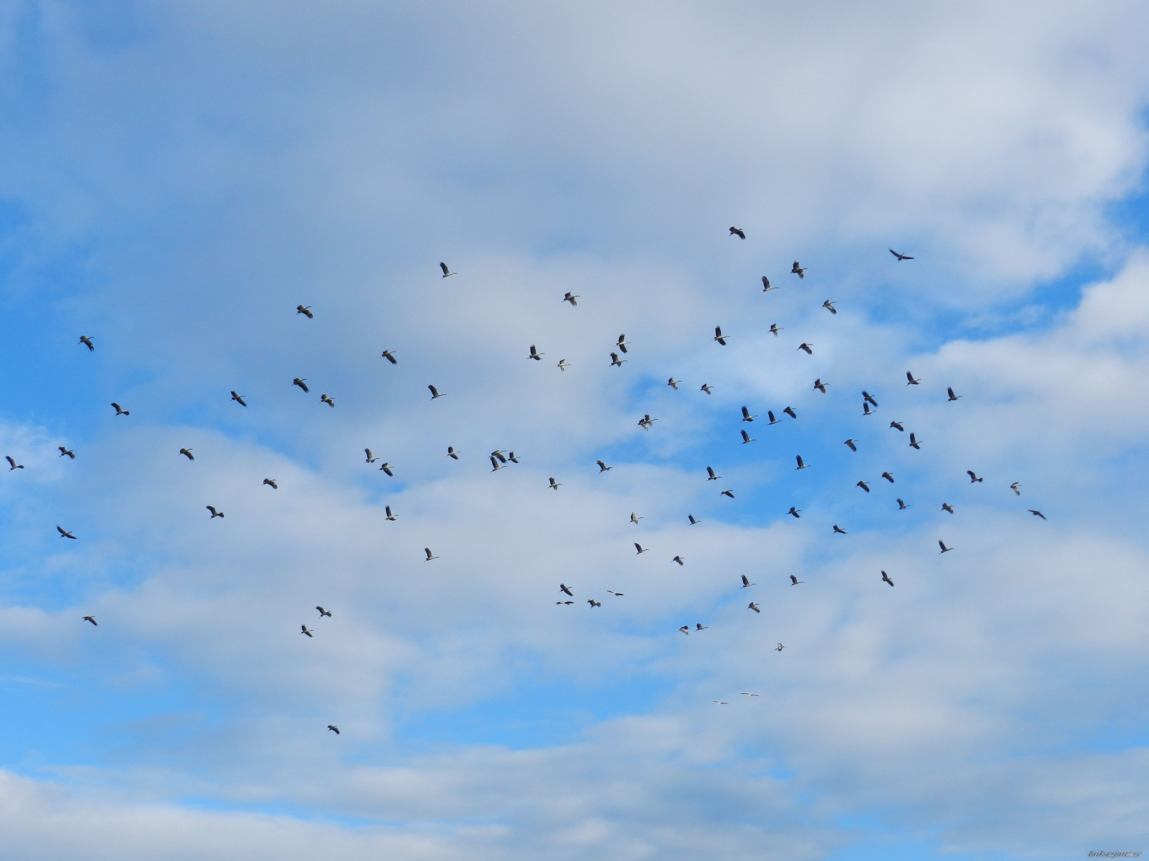 Photo 2522736