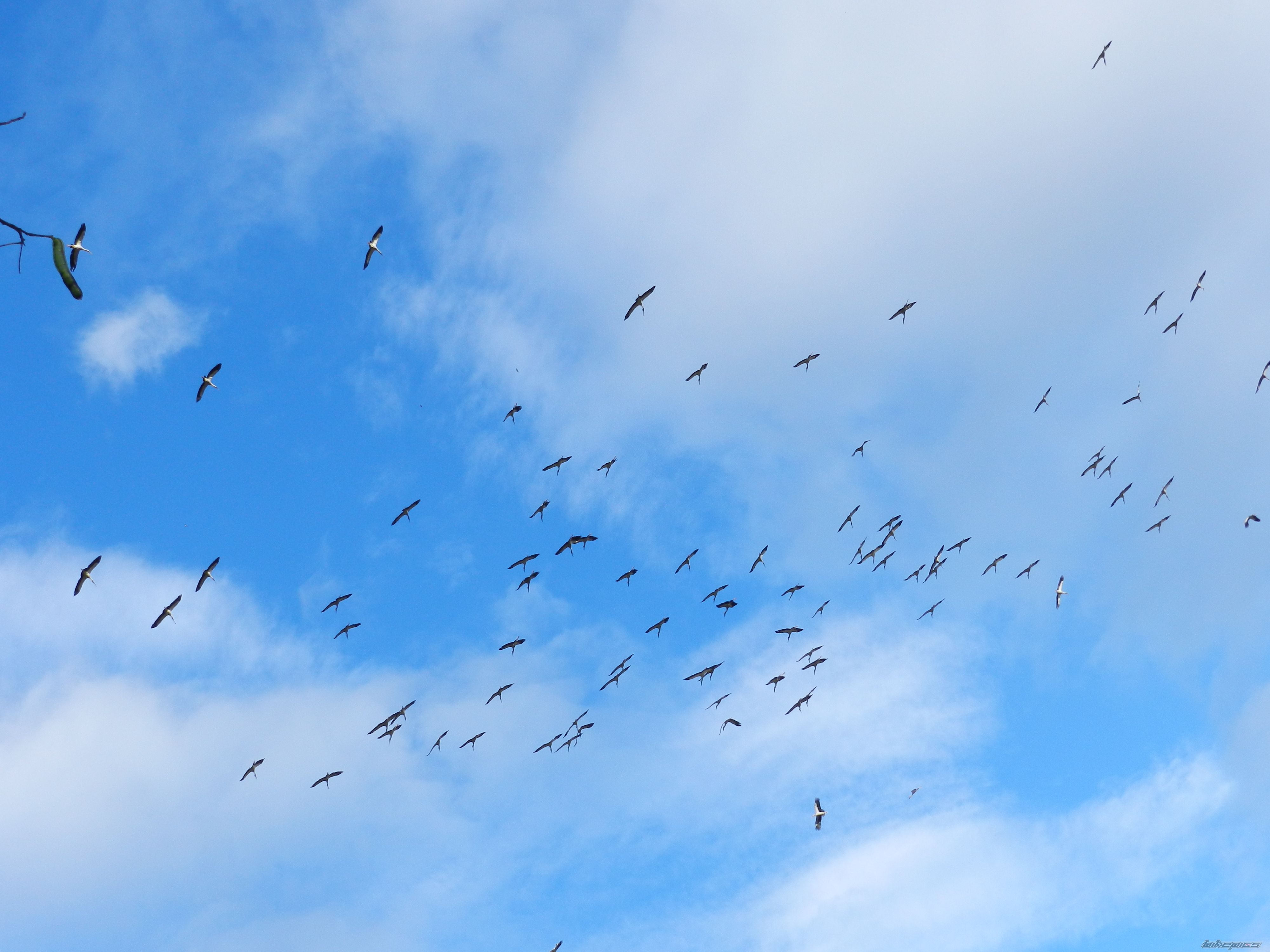 Photo 2522737