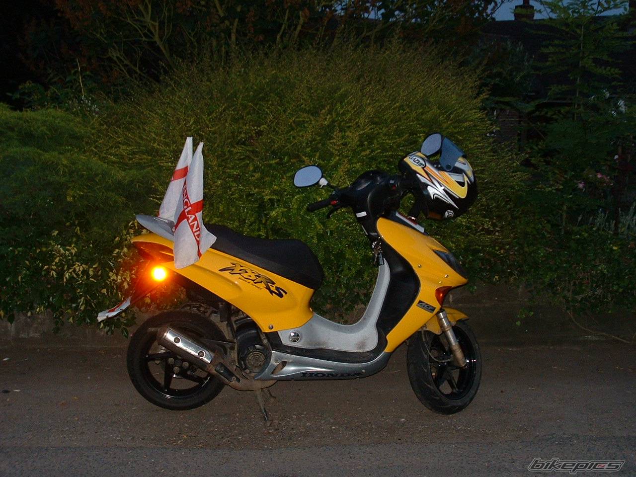 Photo 252277