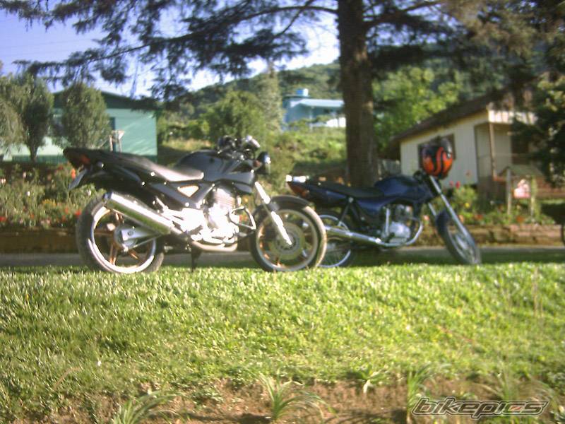 Photo 252284