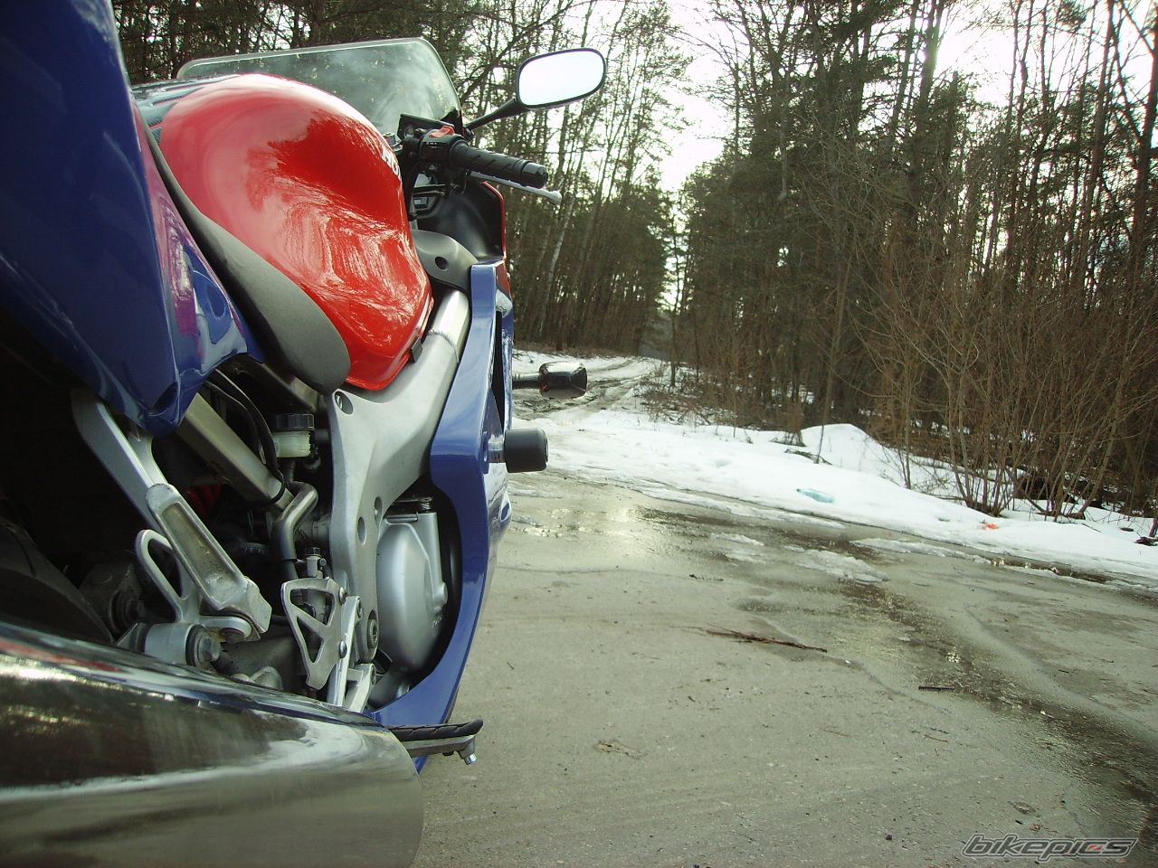 Photo 2522840