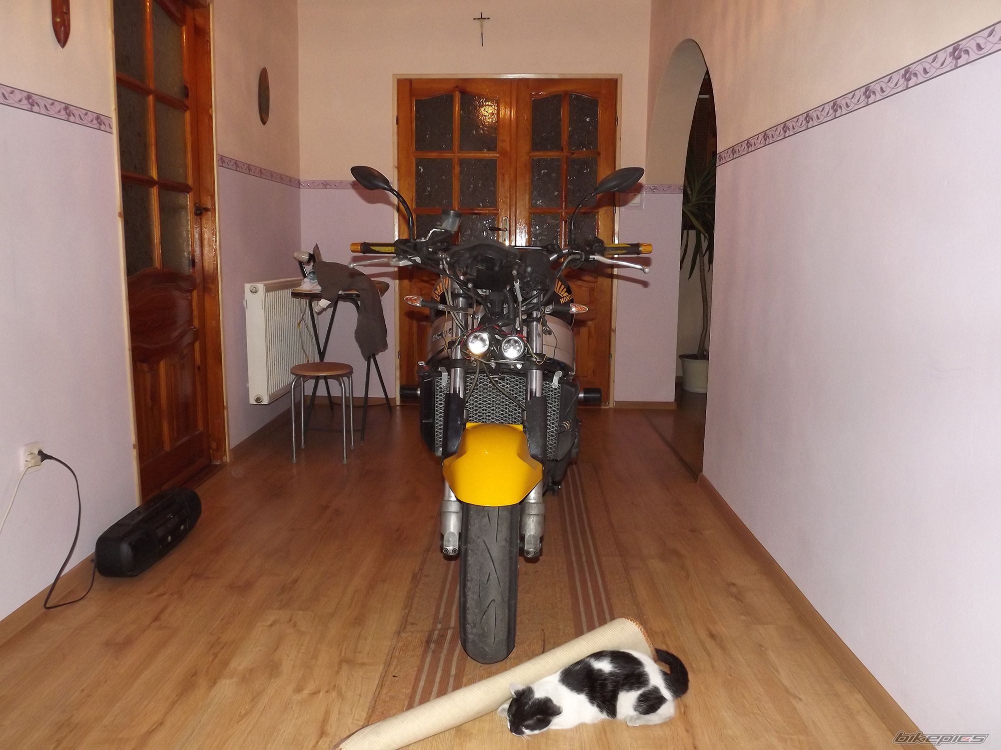 Photo 2522846