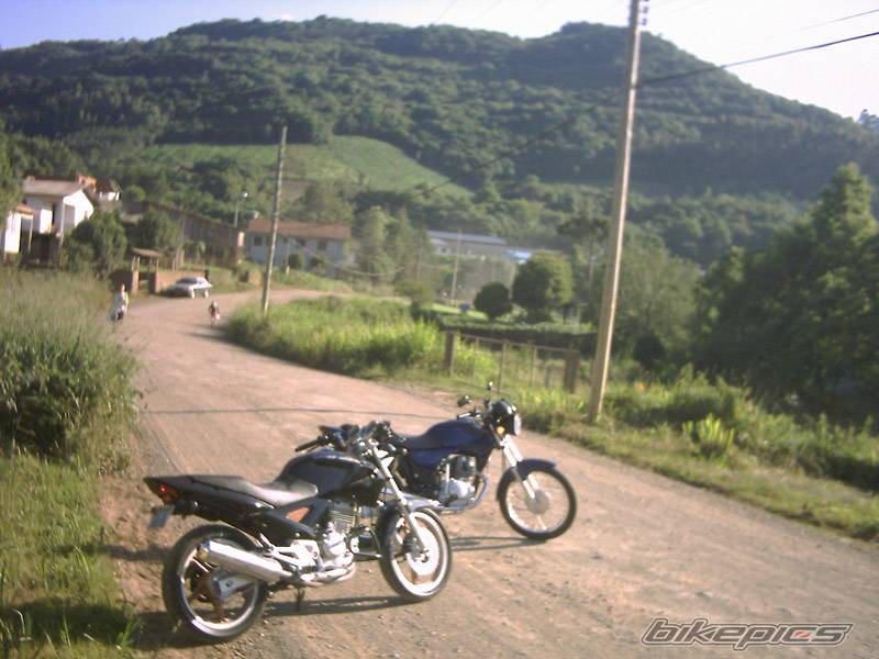 Photo 252288