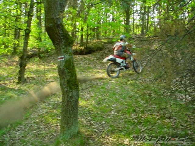 Photo 25229
