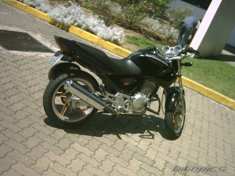 Photo 252290