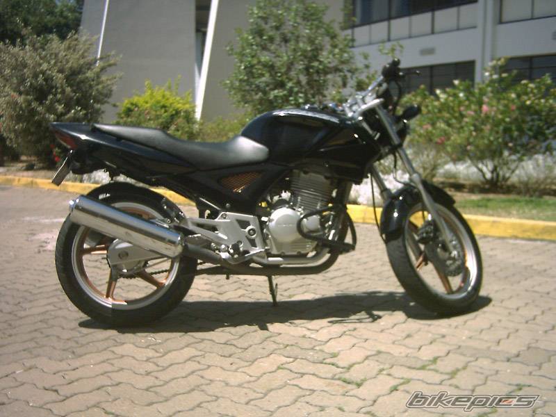 Photo 252291