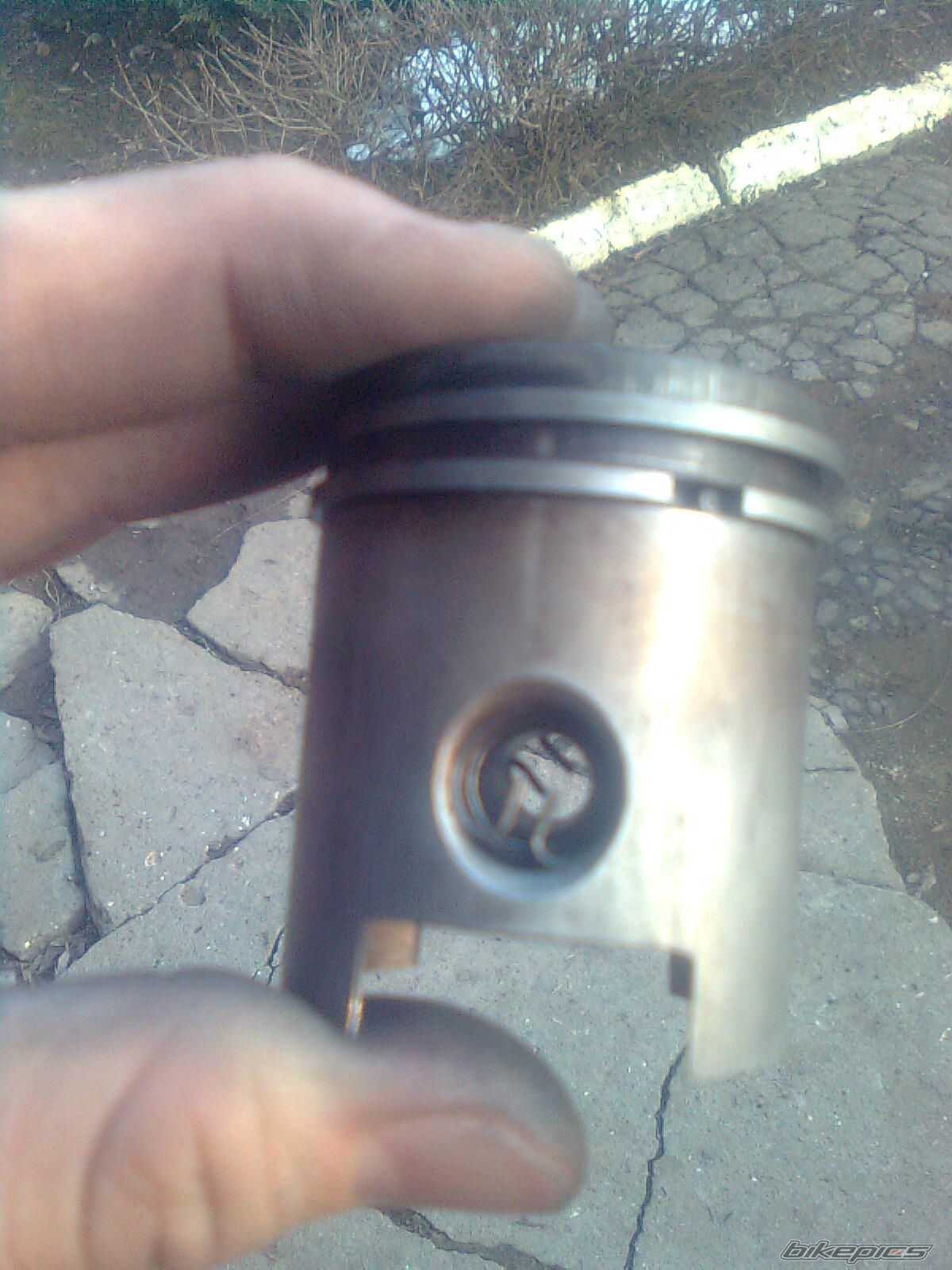 Photo 2522918
