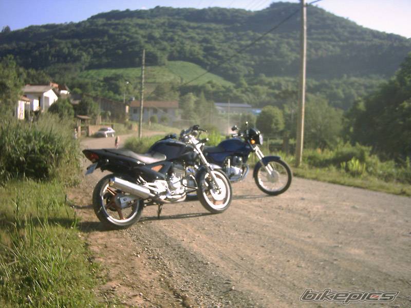 Photo 252292