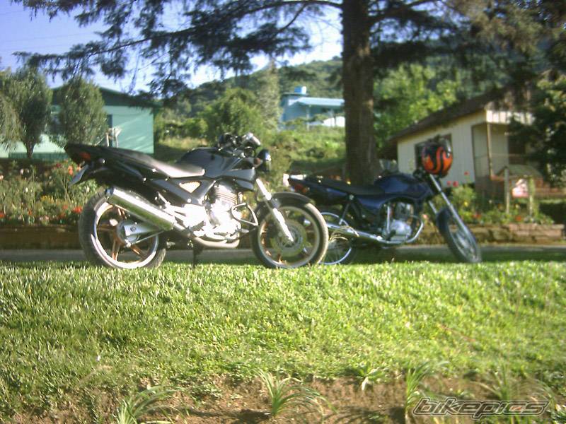 Photo 252293