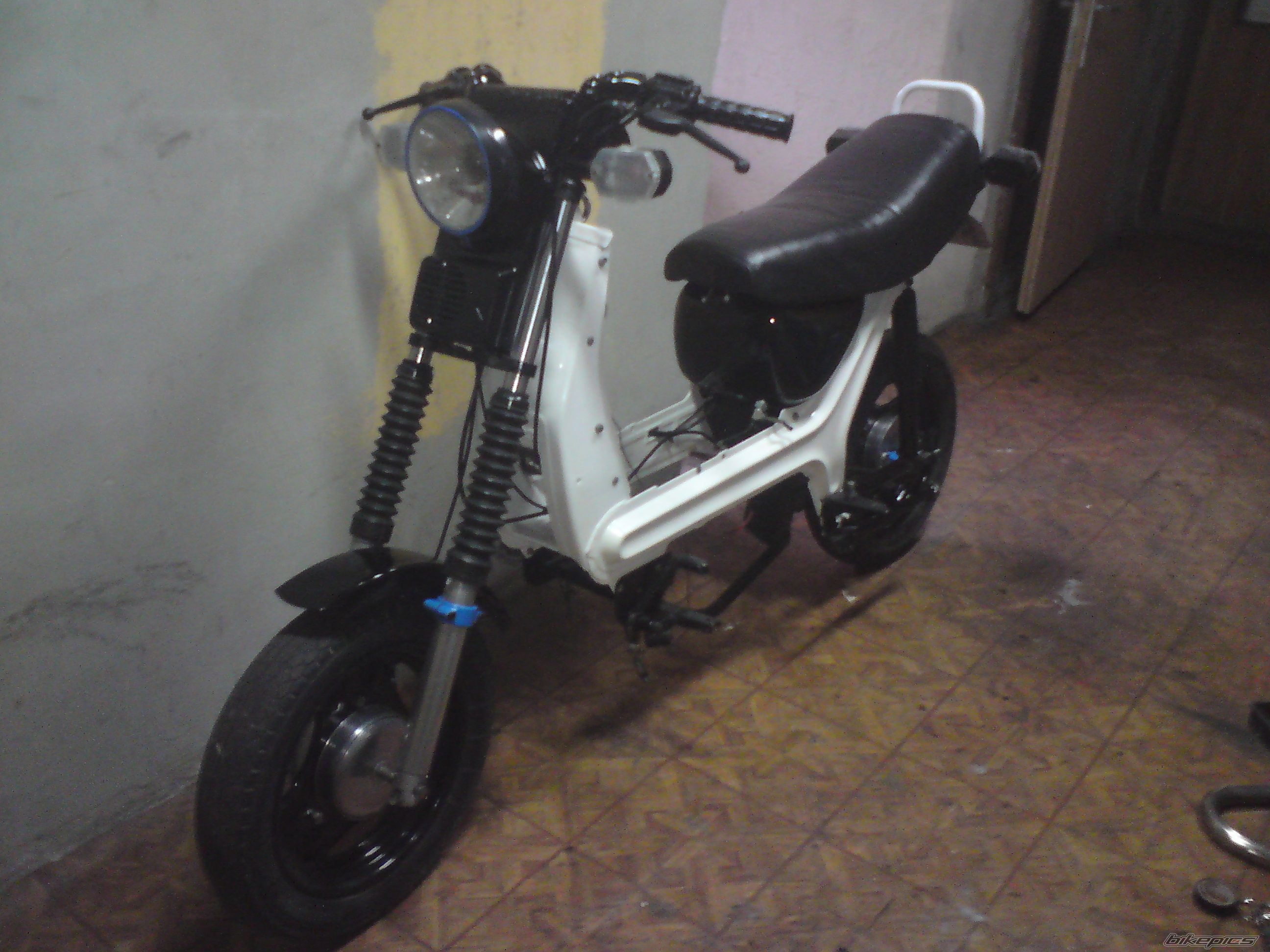 Photo 2523053