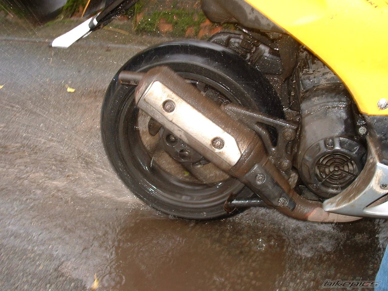 Photo 252306