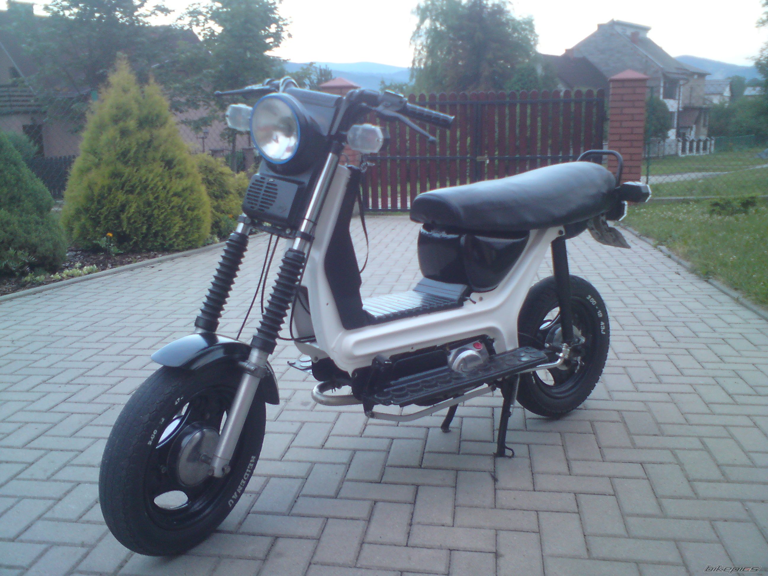 Photo 2523060