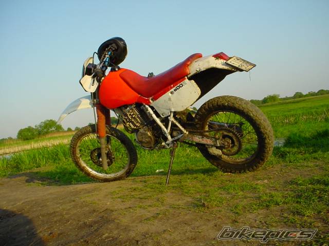 Photo 25231