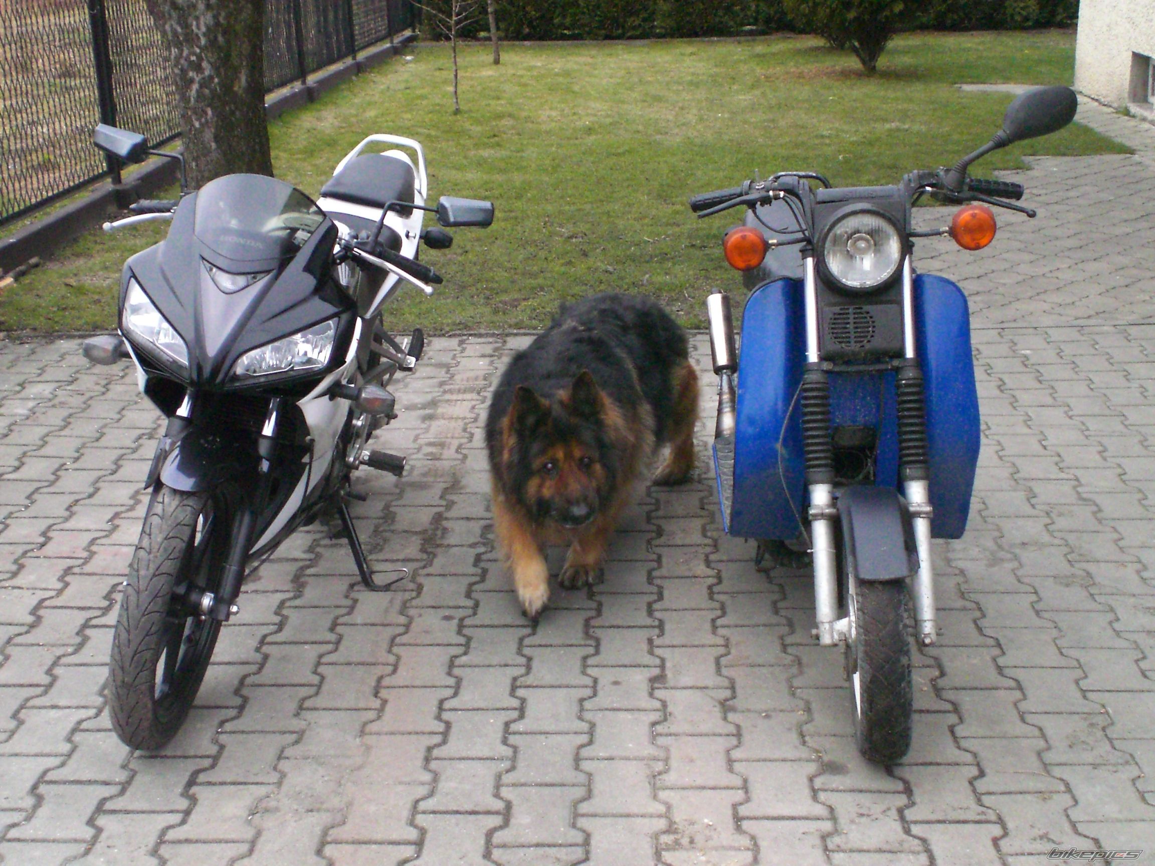 Bike Photo 2523152