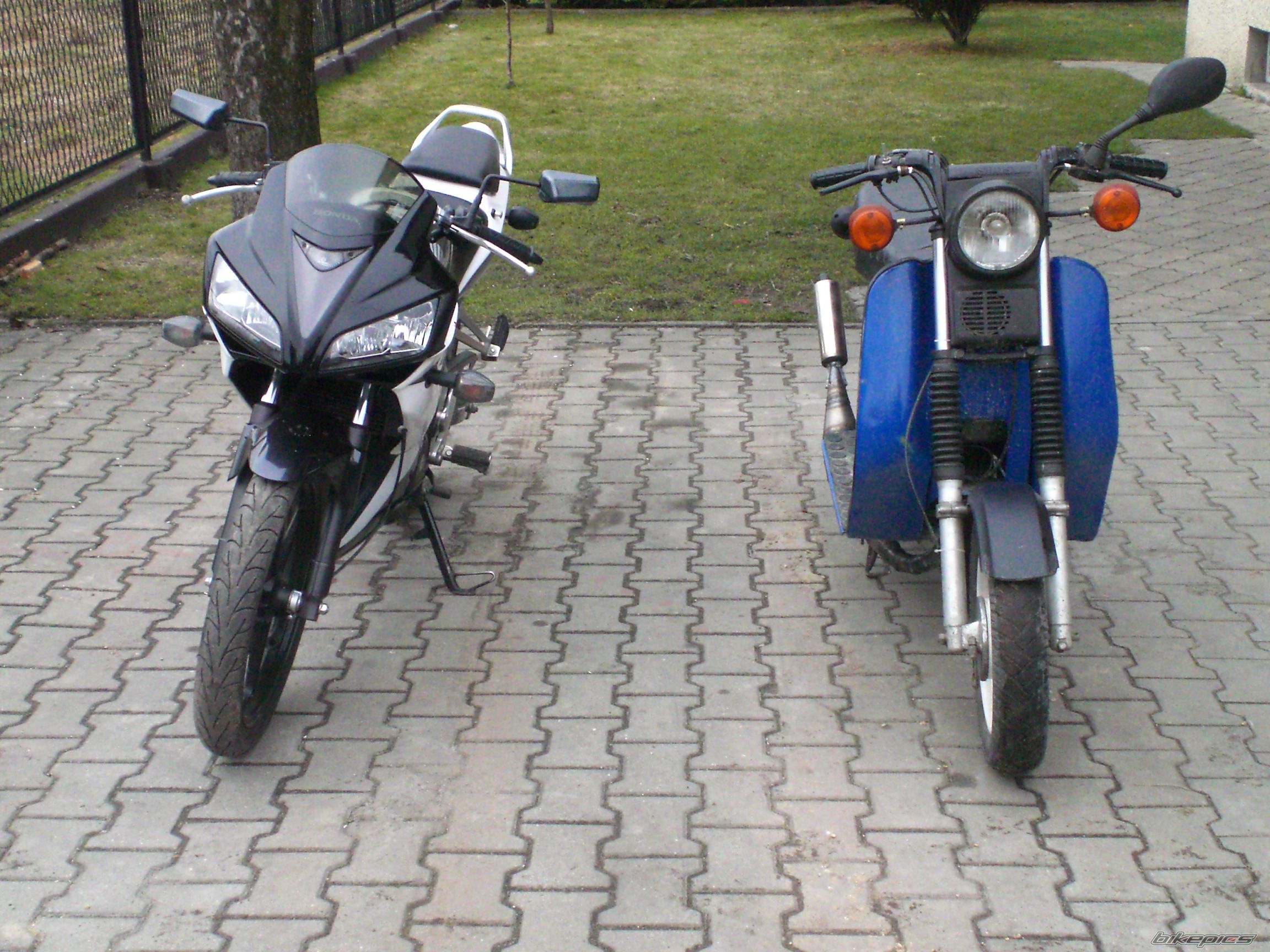 Photo 2523155