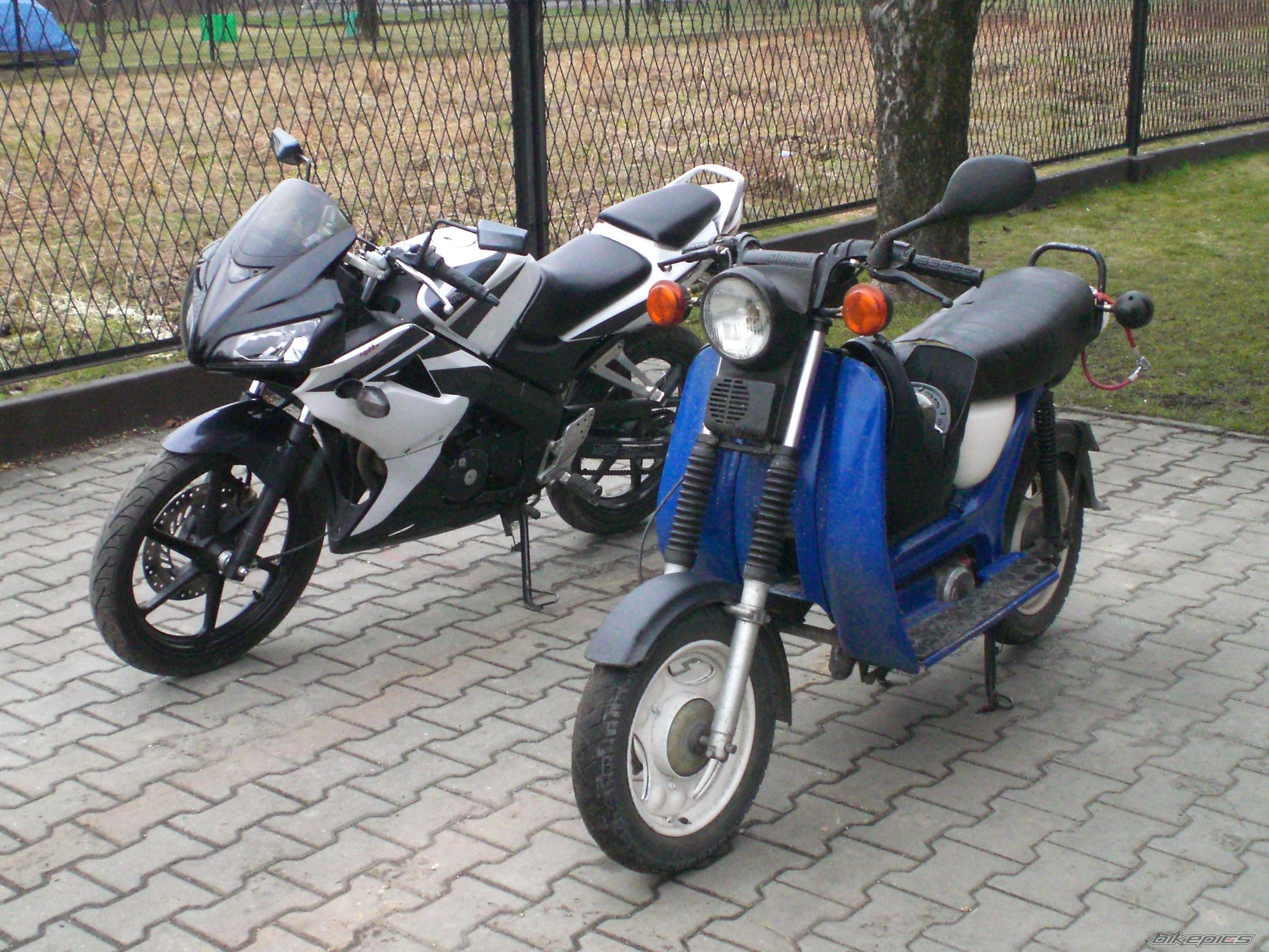 Photo 2523156