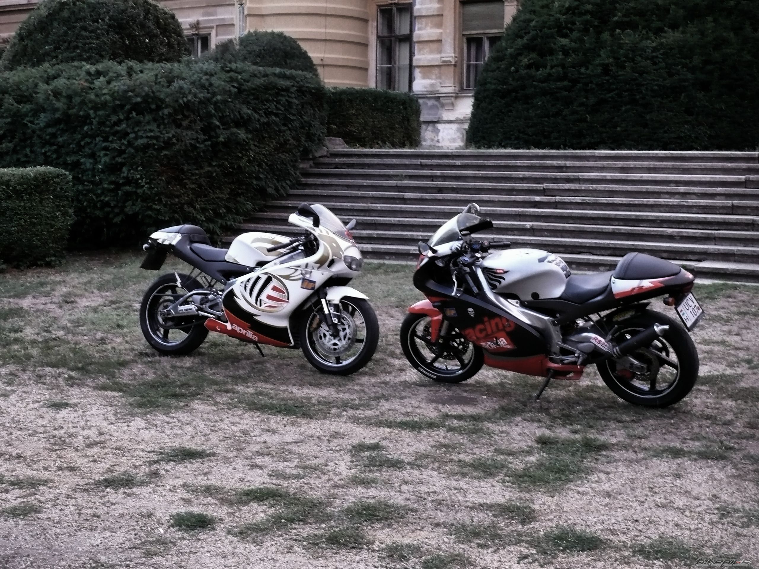 Photo 2523191