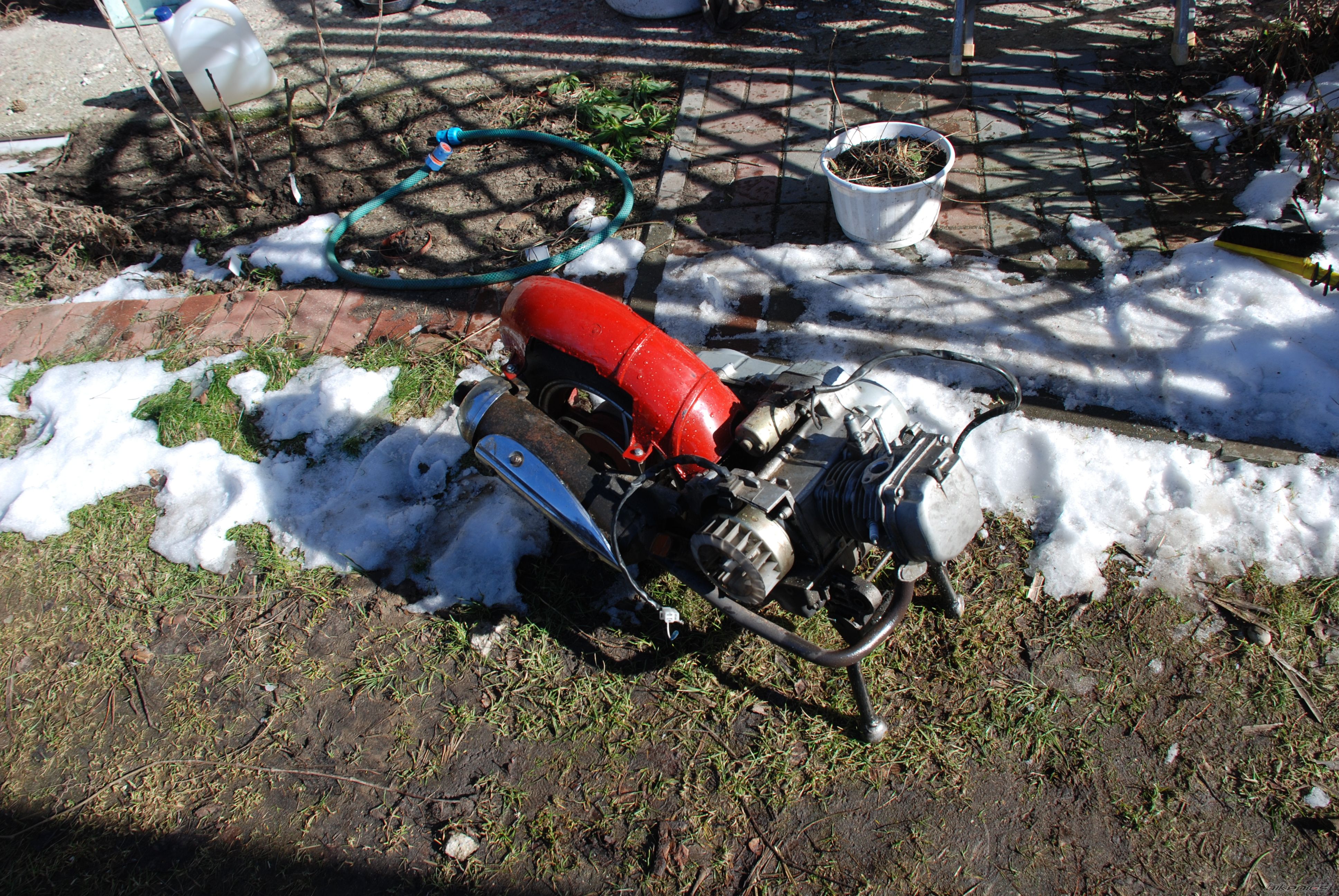 Photo 2523249