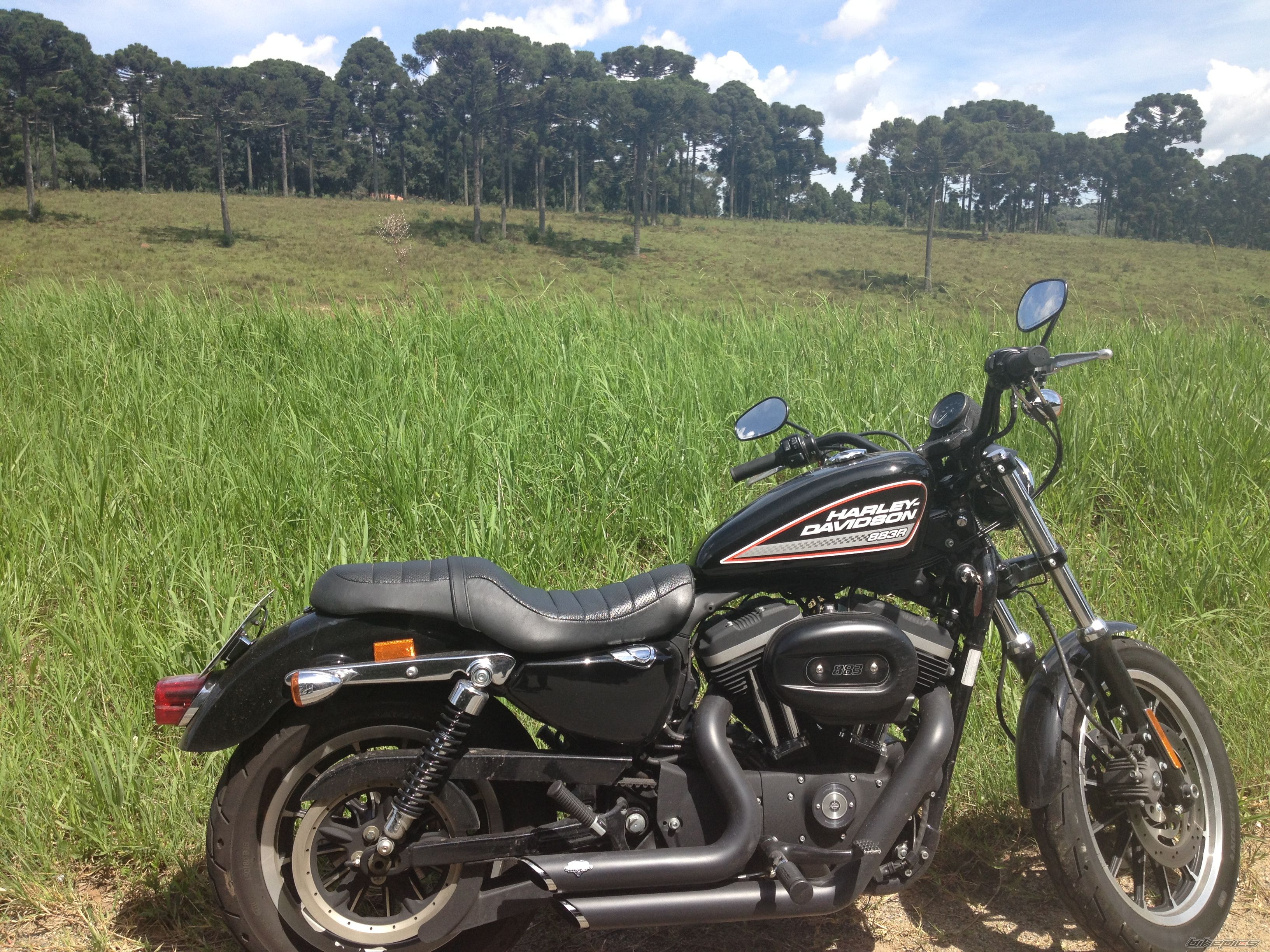Photo 2523281