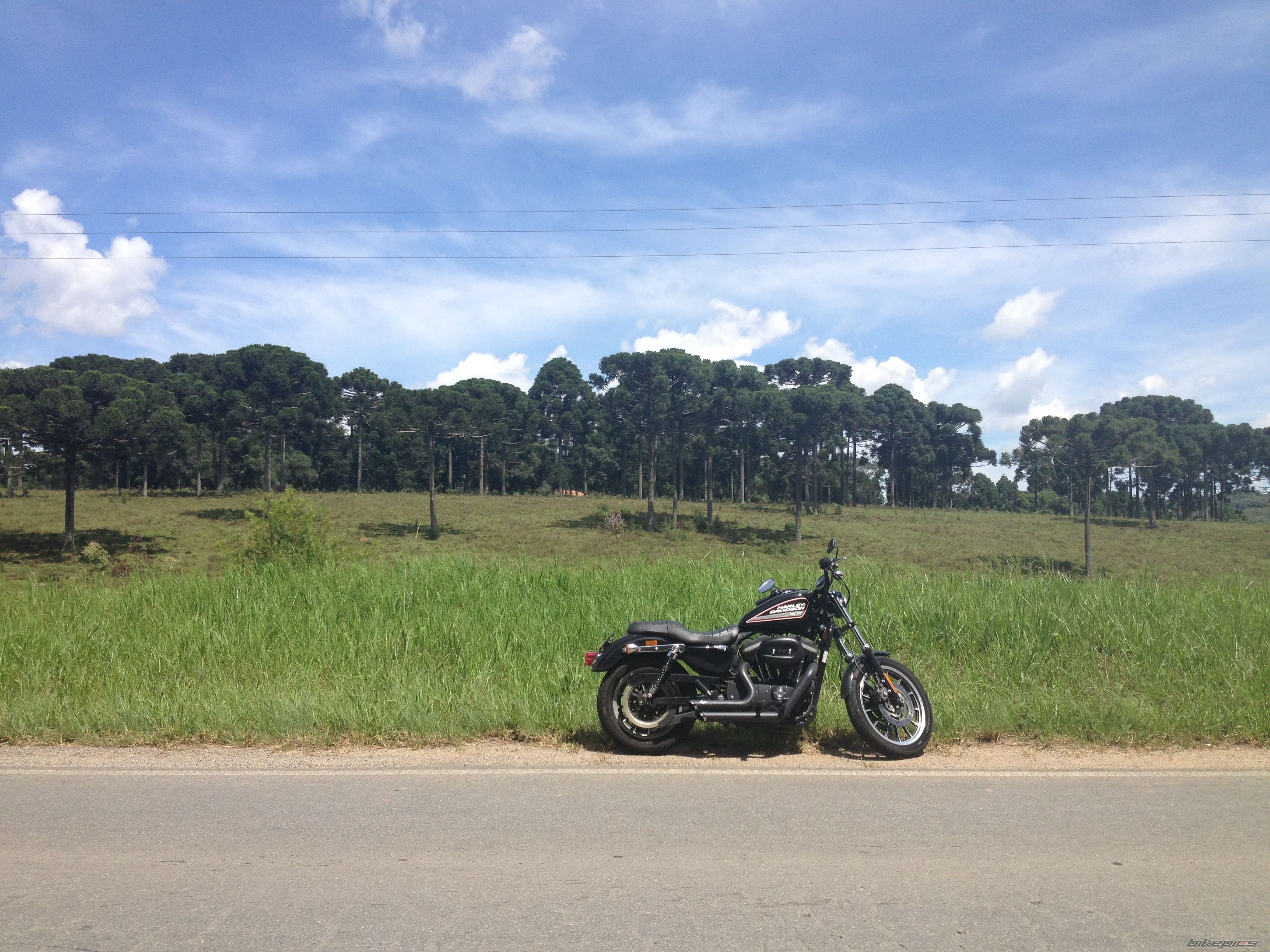Photo 2523283