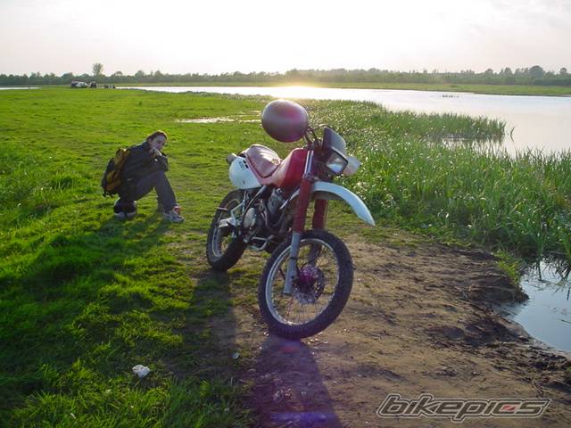 Photo 25233