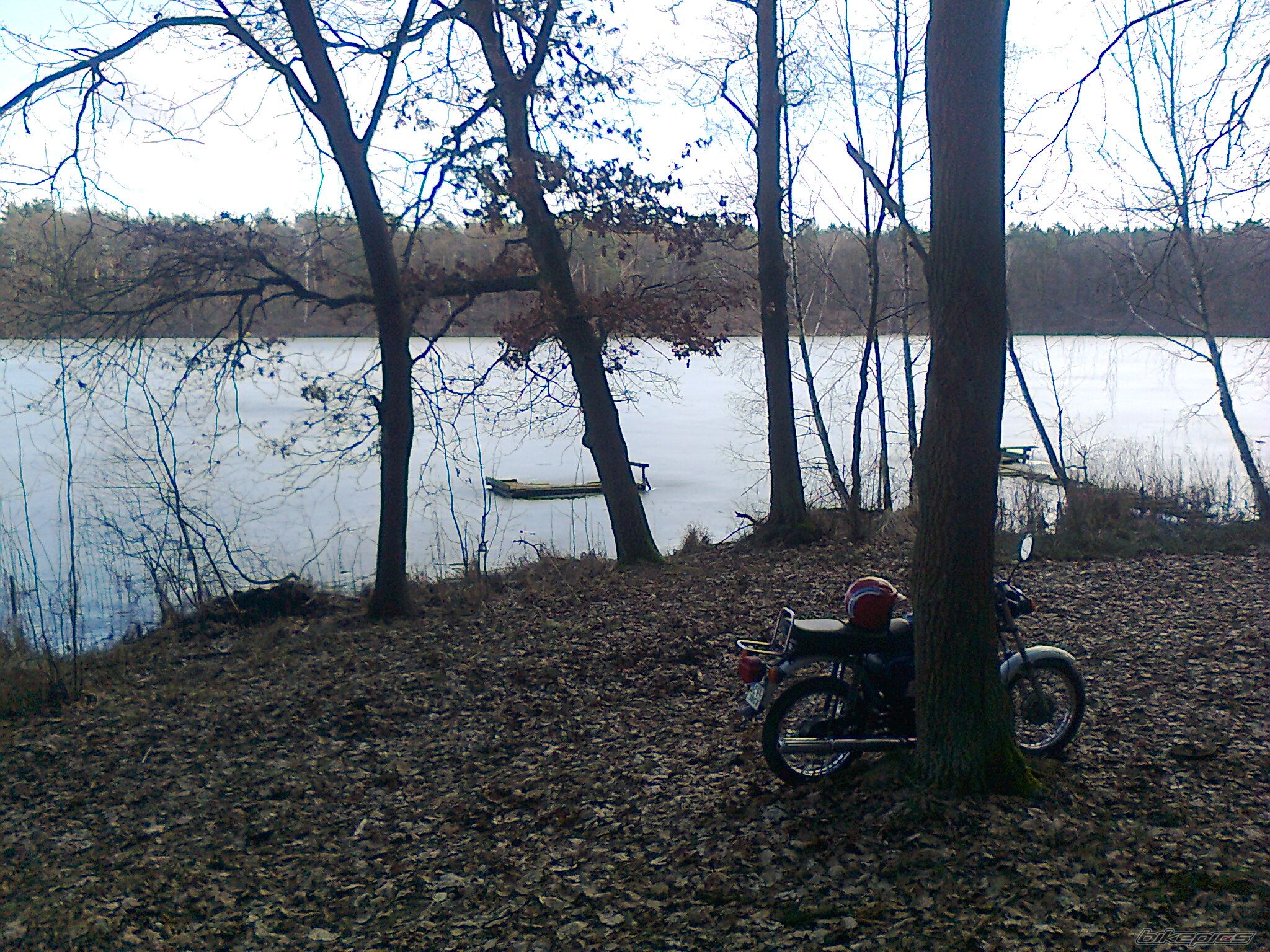 Photo 2523318
