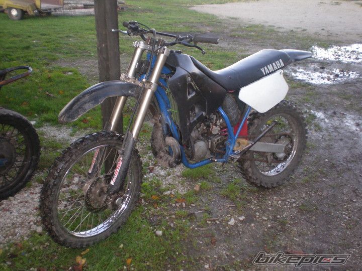 Photo 2523321