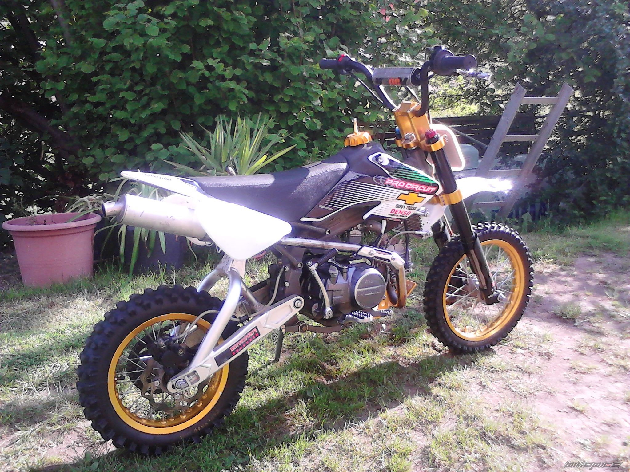 Photo 2523394
