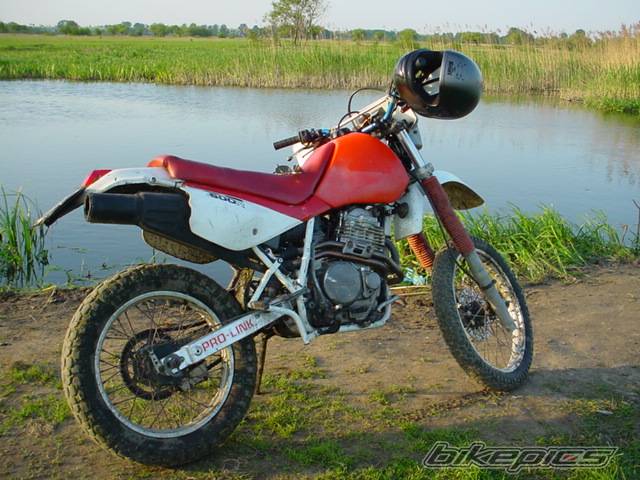 Photo 25234