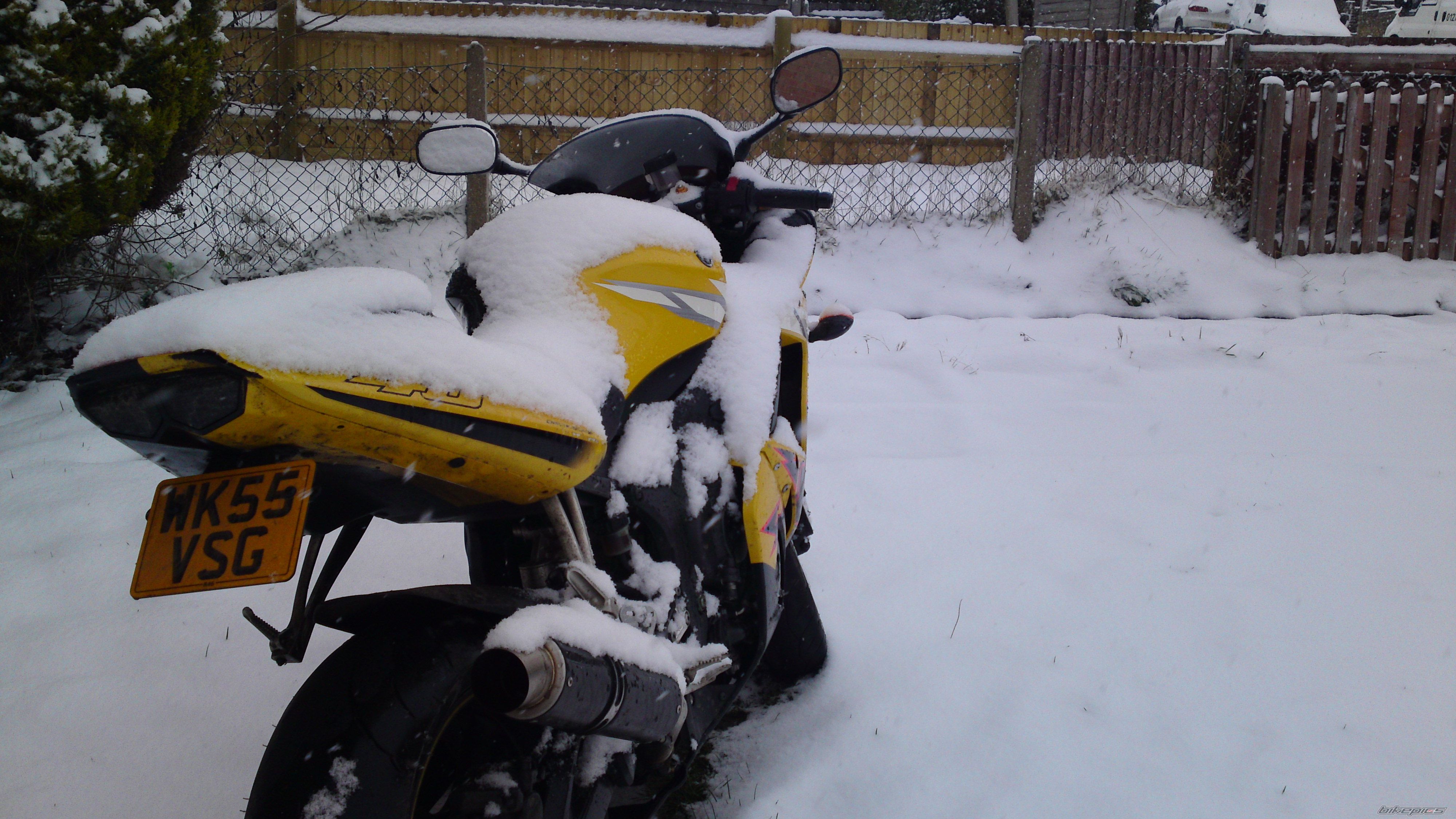Photo 2523499