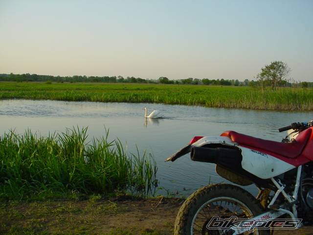 Photo 25235