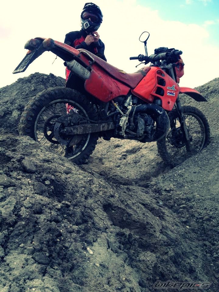 Photo 2523625