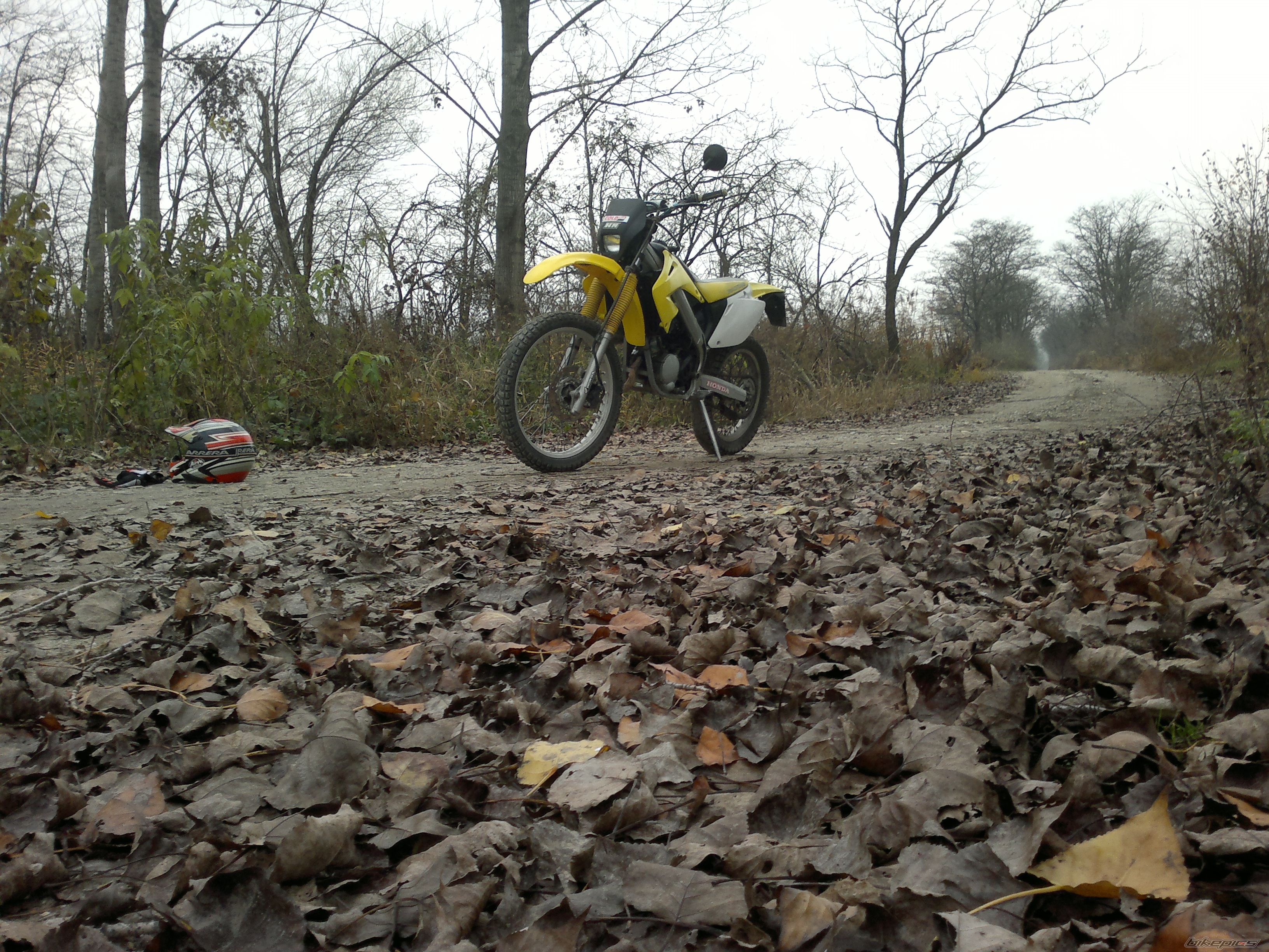 Photo 2523636