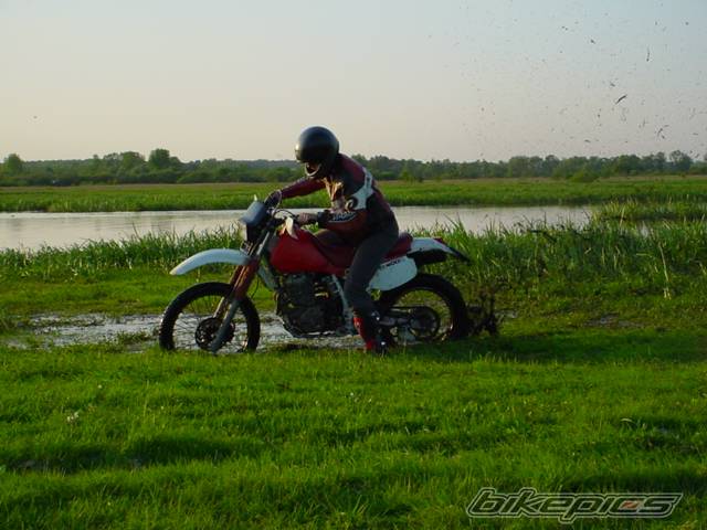 Photo 25237