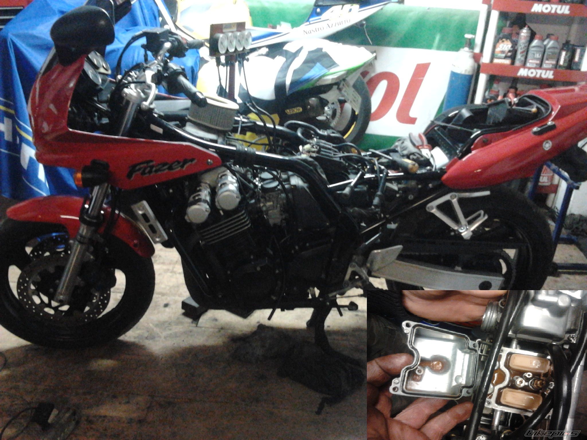 Photo 2523716