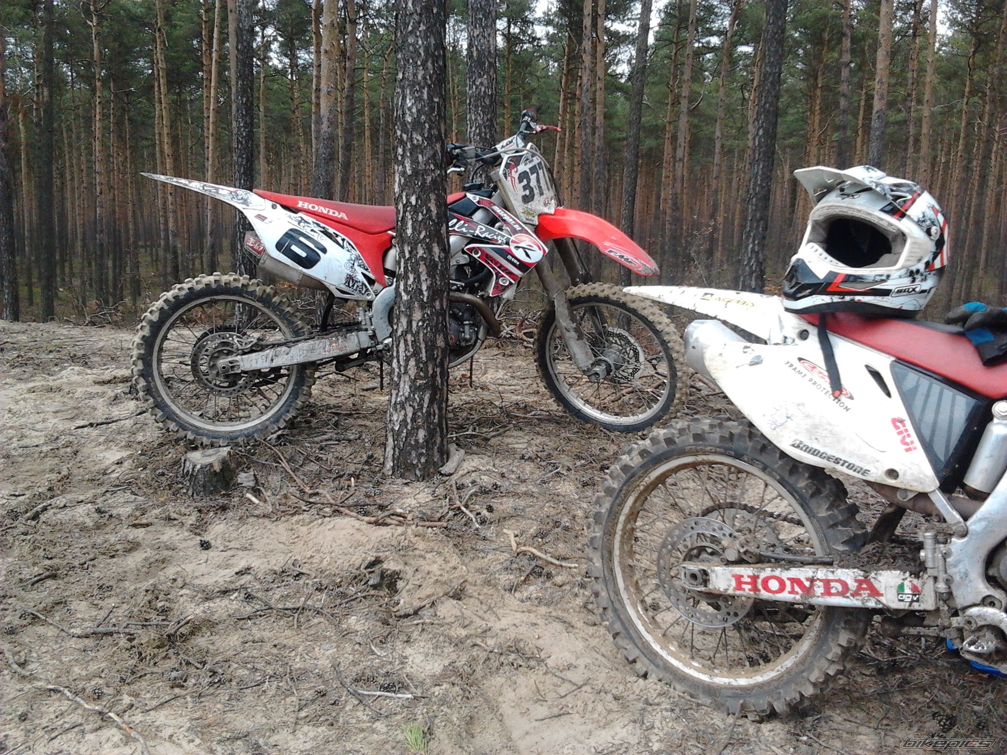 Photo 2523719