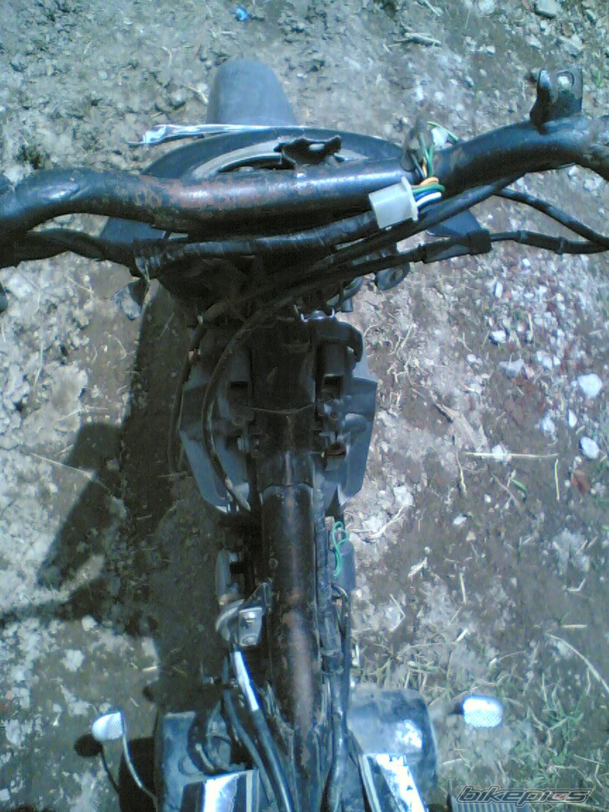 Photo 2523740